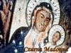 Czarna Madonna