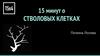 15 минут о стволовых клетках