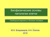 Биофизические основы патологии клетки. Свободные радикалы и болезни человека
