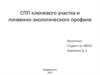 СПП ключевого участка и почвенно-экологического профиля