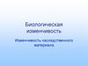 Биологическая  изменчивость