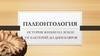 Палеонтология. История жизни на земле от бактерий до динозавров