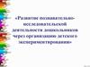 Развитие познавательно-исследовательской деятельности дошкольников через организацию детского экспериментирования