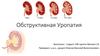 Обструктивная уропатия