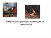 Смертность. Факторы, влияющие на смертность