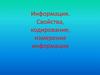 Информация. Свойства, кодирование, измерение информации