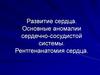 Развитие сердца. Основные аномалии сердечно-сосудистой системы. Рентгенанатомия сердца