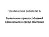 Выявление приспособлений организмов к среде обитания