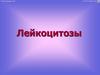 Лейкоцитозы