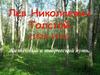 Лев Николаевич Толстой (1828-1910). Жизненный и творческий путь