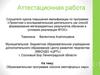 Аттестационная работа. Образовательная программа «Школа светофорных наук»