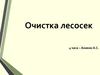 Очистка лесосек
