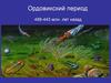 Ордовикский период 488-443 миллионов лет назад