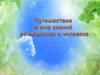 Путешествие в мир знаний об обществе и человеке. Сферы жизни общества