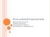 Роль бактерії в екосистемі