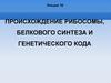 Происхождение рибосомы, белкового синтеза и генетического кода