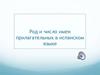 Род и число имен прилагательных в испанском языке
