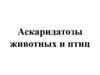 Аскаридатозы животных и птиц