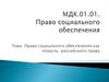 Право социального обеспечения как отрасль российского права