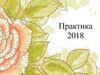 Практика 2018