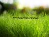 Устройство газона