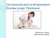 Сестринское дело в ветеринарии. Основы ухода. Пролежни