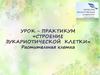 Урок - практикум «Строение эукариотической клетки». Растительная клетка