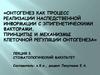 Онтогенез как процесс реализации наследственной информации с эпигенетическими факторами. Принципы клеточной регуляции онтогенеза