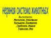 Нервная система животных