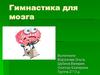 Гимнастика для мозга