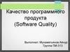 Качество программного продукта (Software Quality)