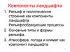 Компоненты ландшафта. (Тема 4)