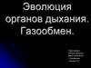 Эволюция органов дыхания животных. Газообмен