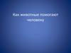 Как животные помогают человеку