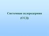 Системная склеродермия (ССД)