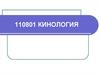 Кинология. Специфика работы кинолога