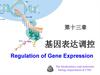 基因表达调控
