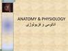 Anatomy and physiology