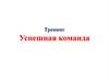 Тренинг. Успешная команда