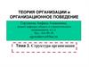Структура организации. (Тема 3)