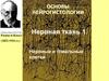 Основы нейрогистологии. Нервная ткань. Нервные и глиальные клетки