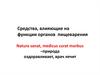 Средства, влияющие на функции органов пищеварения