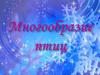 Многообразие птиц