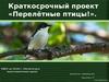 Краткосрочный проект «Перелётные птицы»