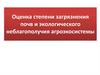 Показатели загрязненности почв и экологического неблагополучия агроэкосистемы