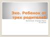 Эко. Ребенок от трех родителей