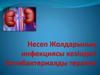 Несеп Жолдарының инфекциясы кезіндегі Антибактериалды терапия