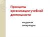 Принципы организации учебной деятельности на уроках литературы