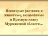 Некоторые растения и животные, включённые в Красную книгу Мурманской области