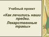 Учебный проект «Как лечились наши предки. Лекарственные травы»